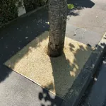 ENTOURAGES D'ARBRES