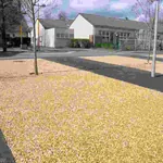 PERMEAWAY® MONOTREE 2000